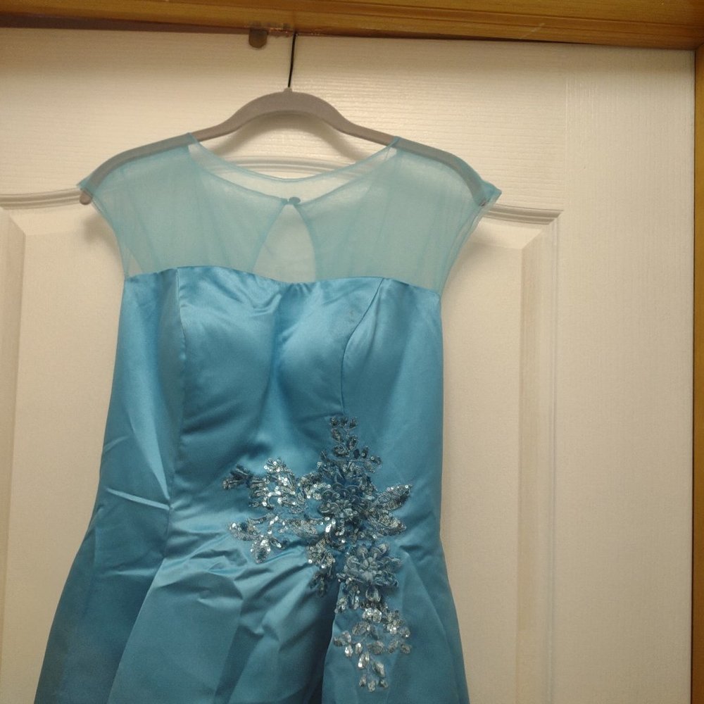 Formal Evening Gown **New, never worn - Picture 1 of 5